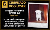 PEDIGREE Adóptame certifica que Dark Suns ha ayudado a un perro abandonado, y que ya forma parte de la Comunidad Dog Lovers.